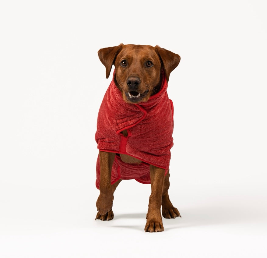 The Dog Drying Coat