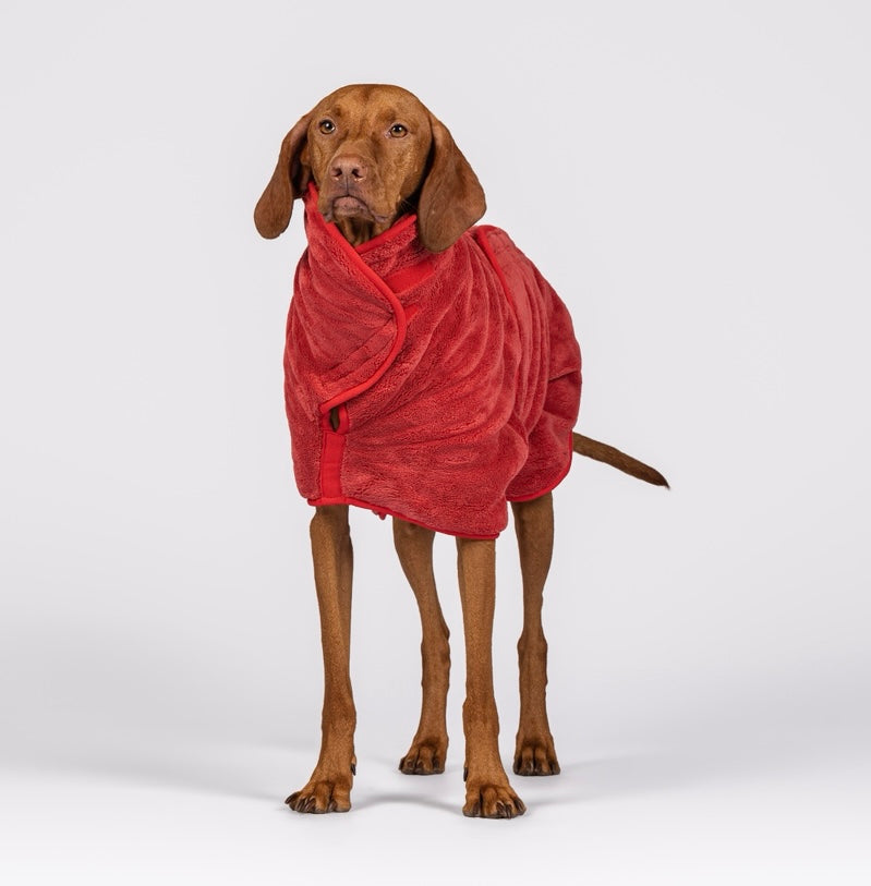 The Dog Drying Coat