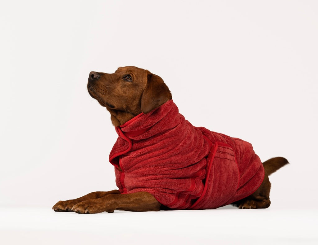 The Dog Drying Coat